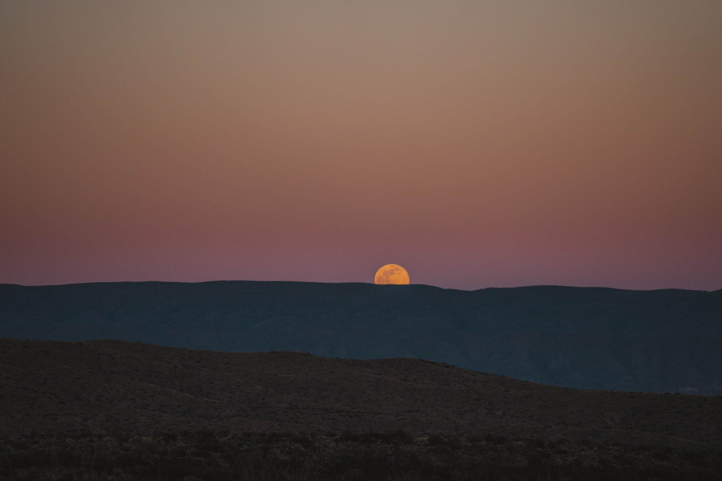 A 'Full Pink Moon' Will Shine Big And Bright In Texas Skies